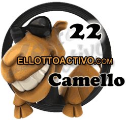 Imagen animalito Camello de Lotto Activo