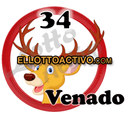 Imagen animalito Venado de Lotto Activo
